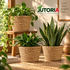 Natural Seagrass Planter Basket Set – 4 Pieces – image 2